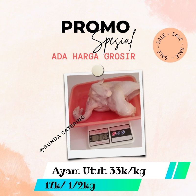 

Ayam Utuh Fresh / Frozen Utuh Murah