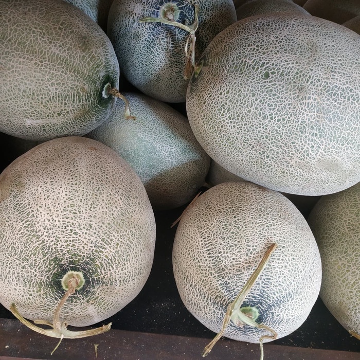 

Melon Sakata /pics
