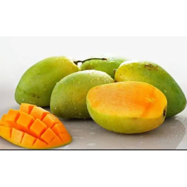 Bibit mangga arumanis