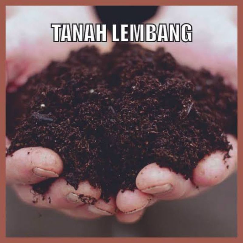 TANAH LEMBANG Karungan  Via GoSend /Greb / media tanam tanah lembang