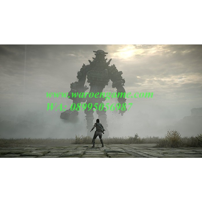 PS4 Shadow of the Colossus (R3 / Reg 3 / English, PS4 Game)