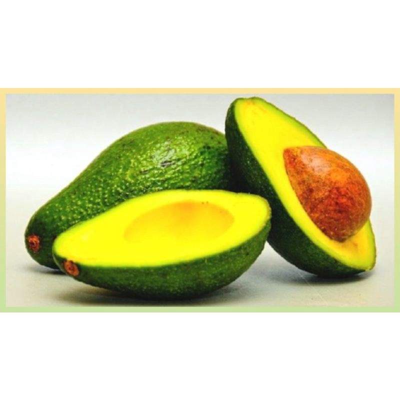 

Buah Alvocado / Alpukad Mentah