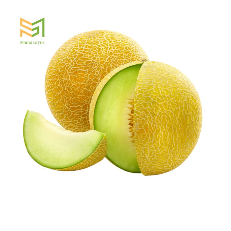 

Melon segar per buah