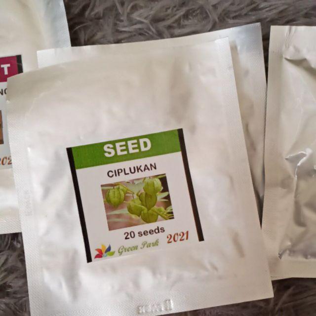 Benih Biji Ciplukan Pack - Gp