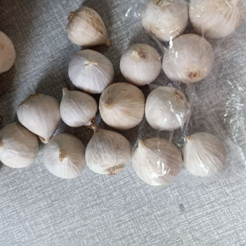 

bawang putih tunggal 250grm