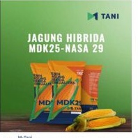 ADAM TANI/BENIH JAGUNG HIBRIDA/ MDK 25/1KG/ MTANI JH36