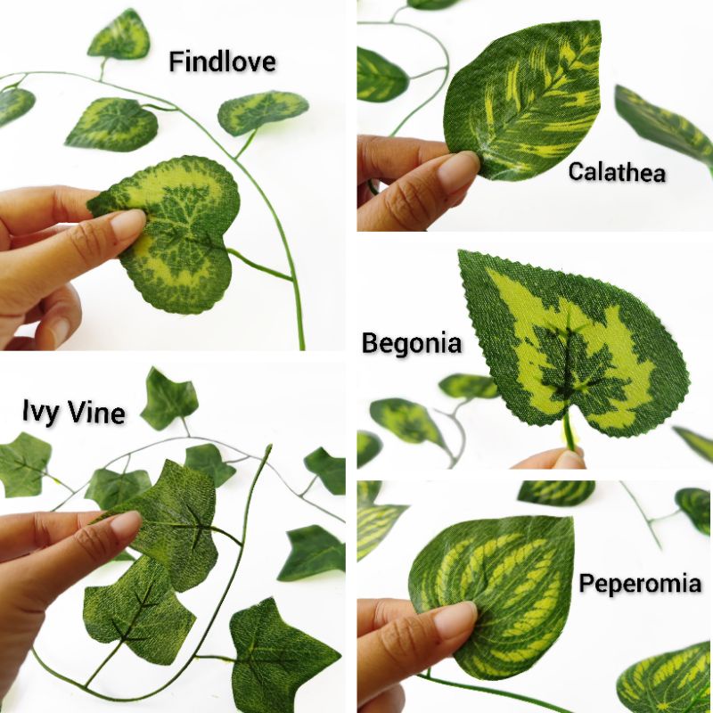 (12PCS) Daun Rambat Besar 30 helai AL95 Findlove Peperomia Semangka Ivy Calathea Begonia Vine Plastik