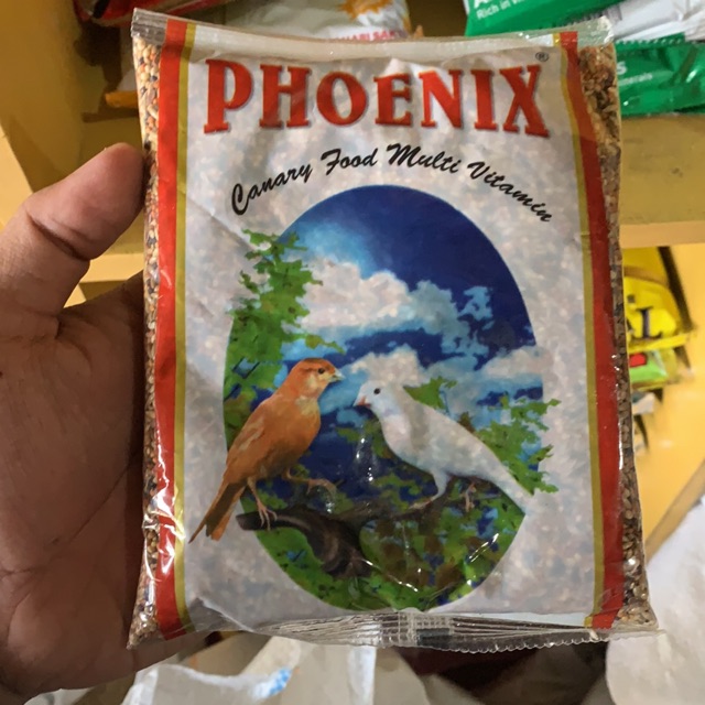 PHOENIX KENARI -  PAKAN BURUNG KENARI / PAKAN HARIAN TERBAIK UNTUK KENARI BRANJANGAN SANGER