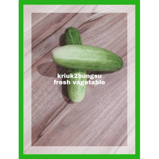 

Timun /250 gram