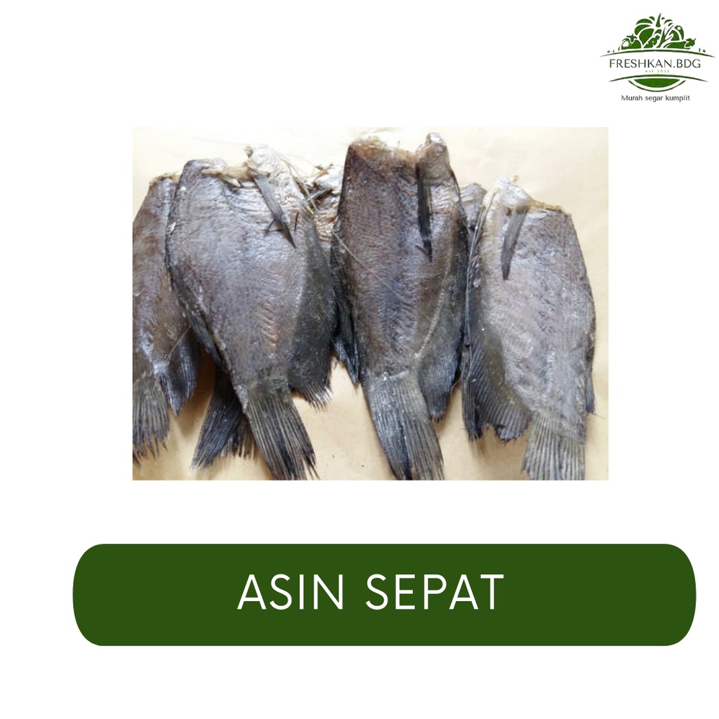 

IKAN ASIN SEPAT