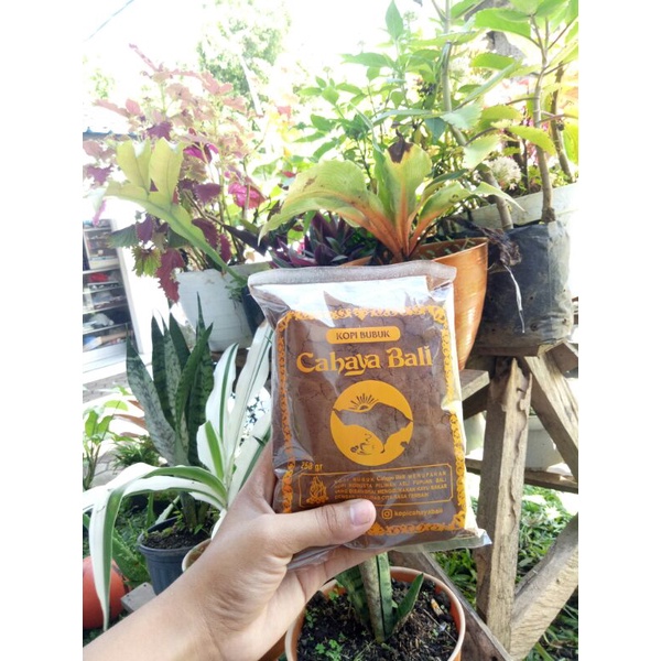 

kopi bubuk bali asli