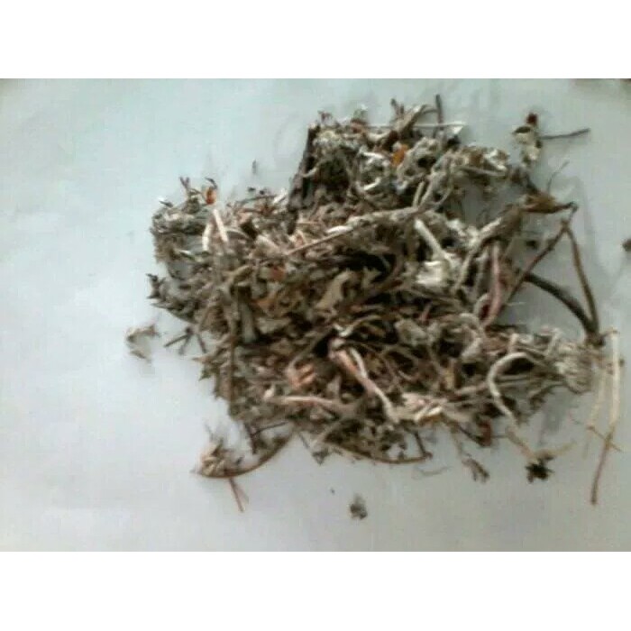 

10 G 50 GR 100 GRAM 北紫草 BEI ZI CAO LITHOSPERMUM ARNEBIA GROMMWELL ROOT