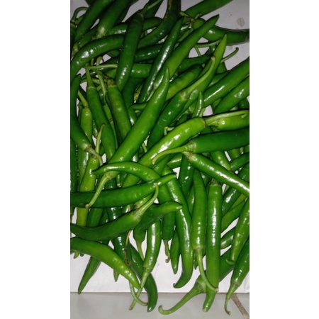 

cabe ijo besar / 250gram Rp 10.000