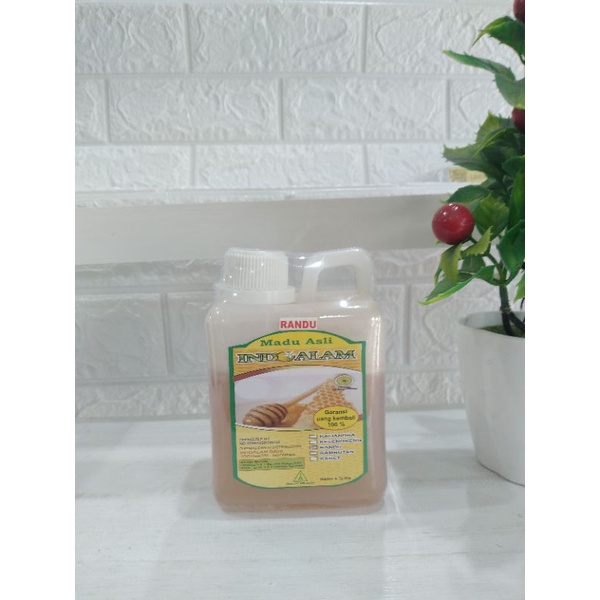 

madu hutan randu