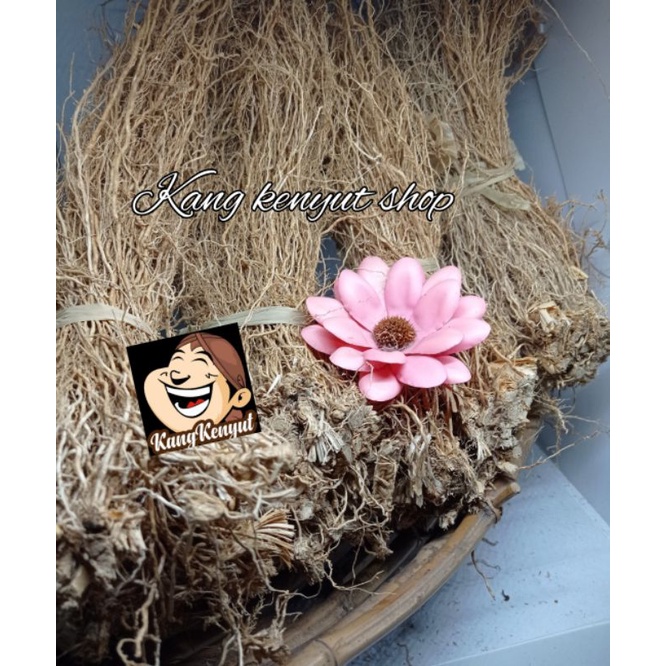 

Akar wangi bonggol kering 500 gram