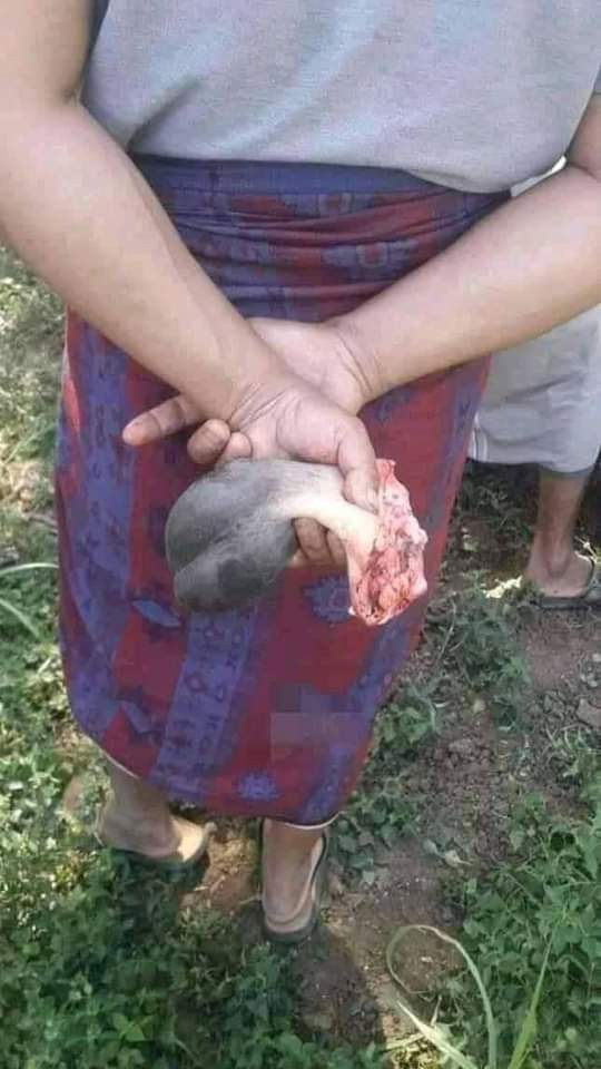 Aji Kuning Kemeja Batik Pria Solo Lengan Panjang Lapis Furing Aljaya Atasan Modern Premium Original