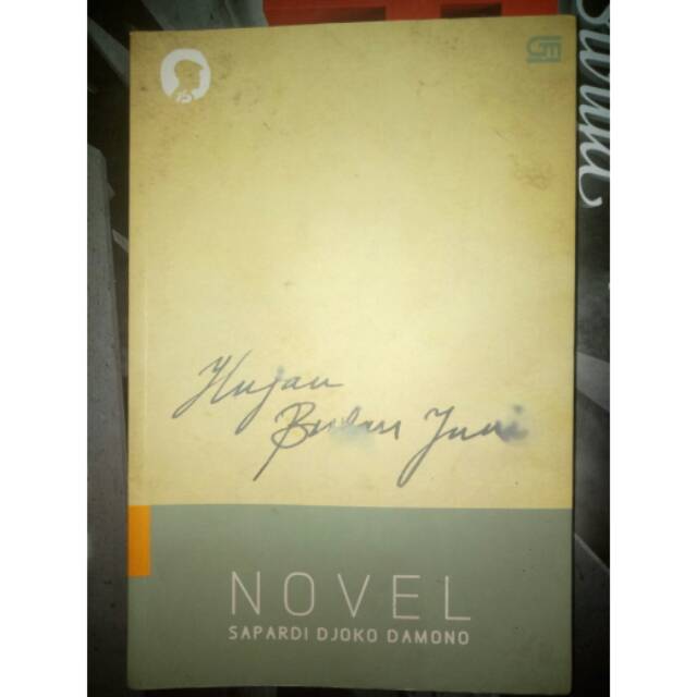 Hujan bulan juni. Novel