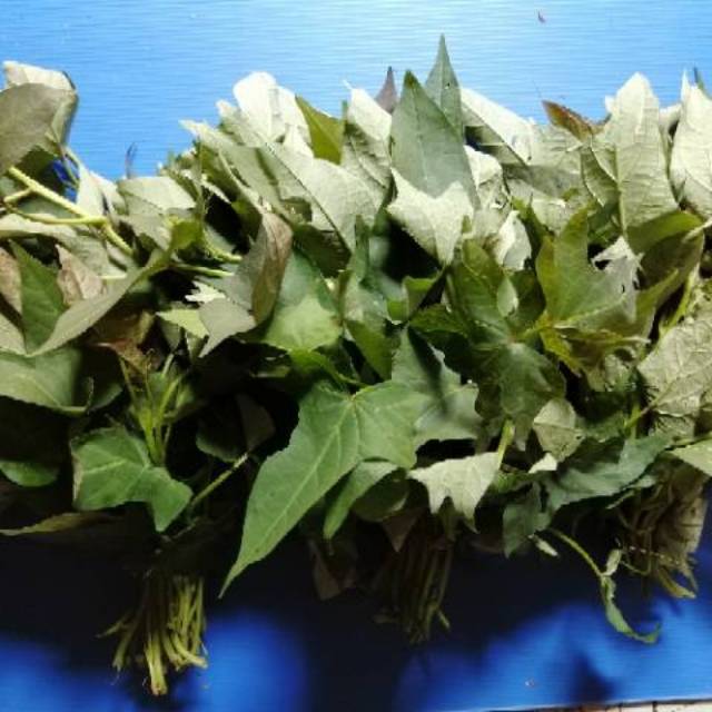 

daun ubi sayur