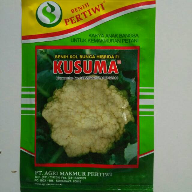 Benih Bunga Kol Kusuma