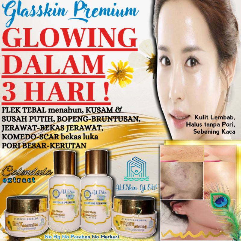 GLASSKIN PREMIUM ALESKIN GLOW Skincare Glowing-Paket Perawatan Wajah Korea-Cream Glowing