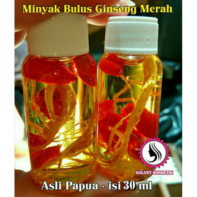 Minyak Bulus Ginseng Merah Papua Asli Original Isi 30 Ml Pembesar Dan Pengencang Payudara Shopee Indonesia