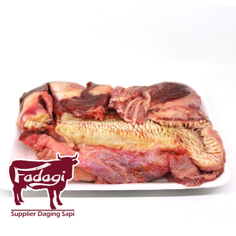 

DAGING LIPS SAPI 500 GRAM