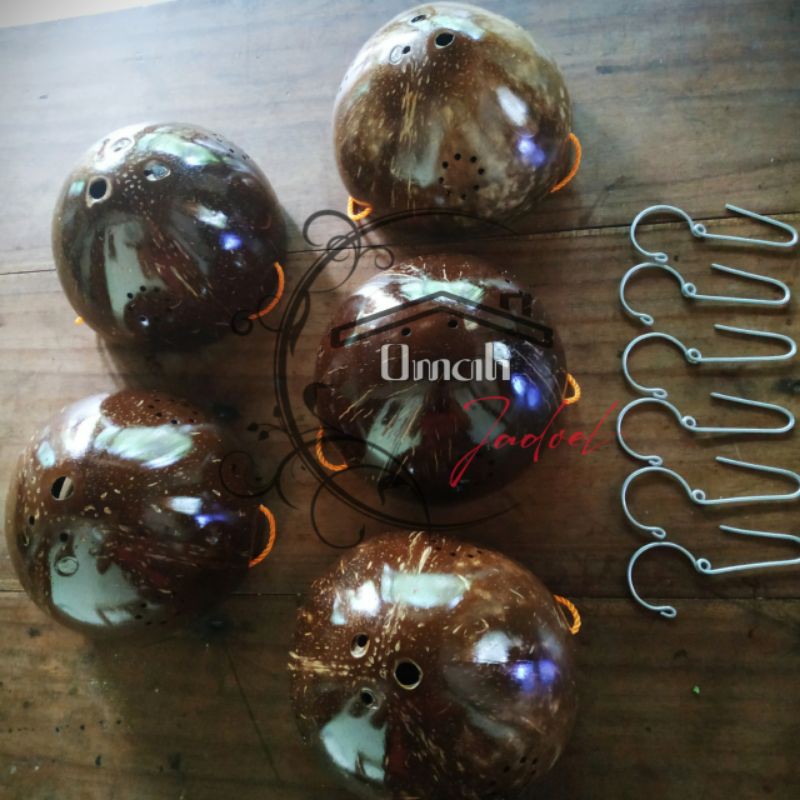 Pot gantung Anggrek BATOK KELAPA + Kawat gantung