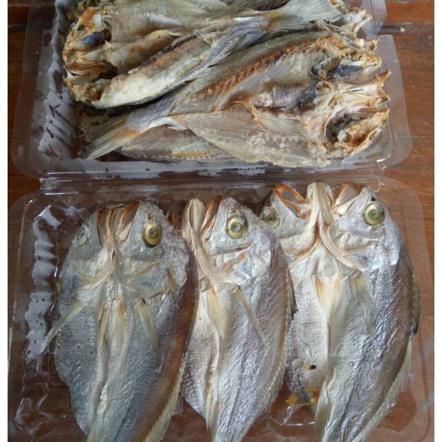 

Ikan asin samge/tiga waja 500gr