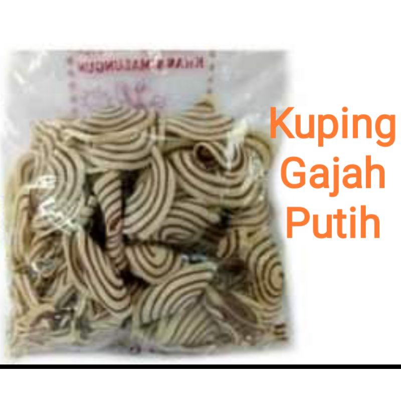 

Kuping Gajah Putih