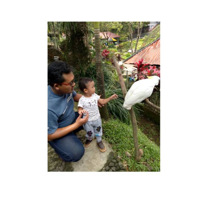 tyasdarahminangjiwabonita