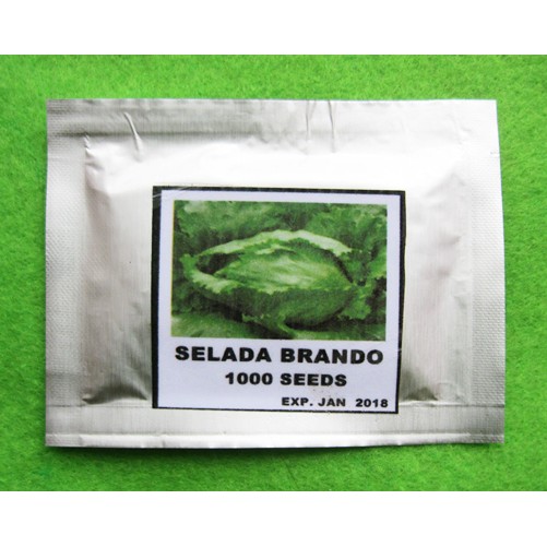 Benih Selada Hijau Brando Pack 1000 Biji