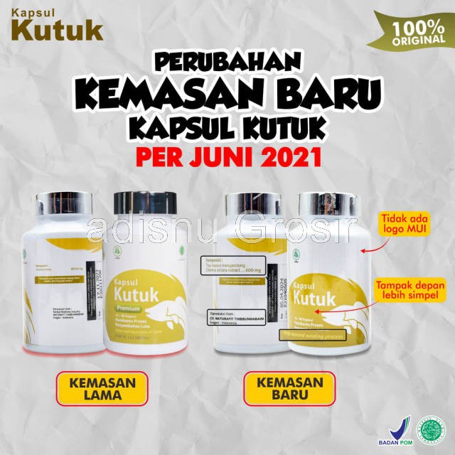 Kapsul Kutuk Premium Pasca Operasi ASLI 100% Ekstrak Albumin Sari Ikan Gabus BPOM