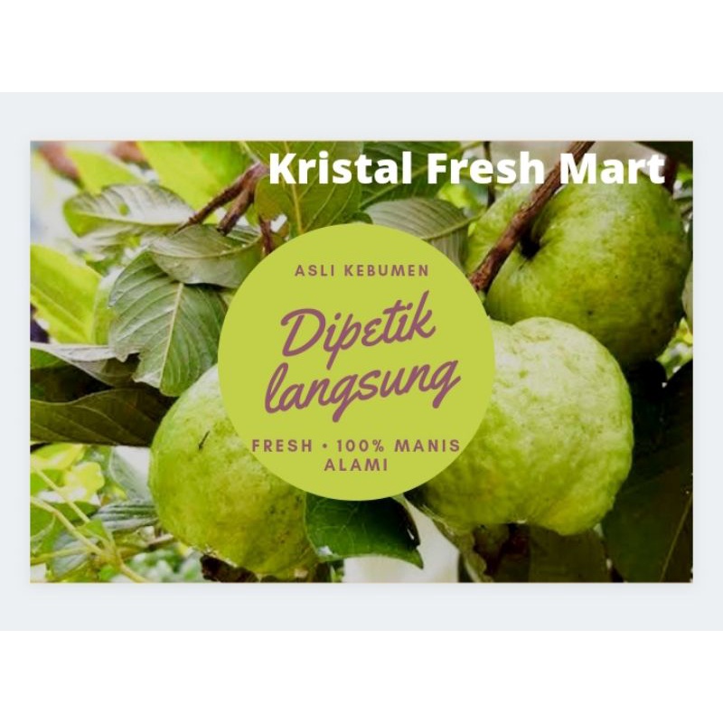 

Jambu Kristal Per Kg