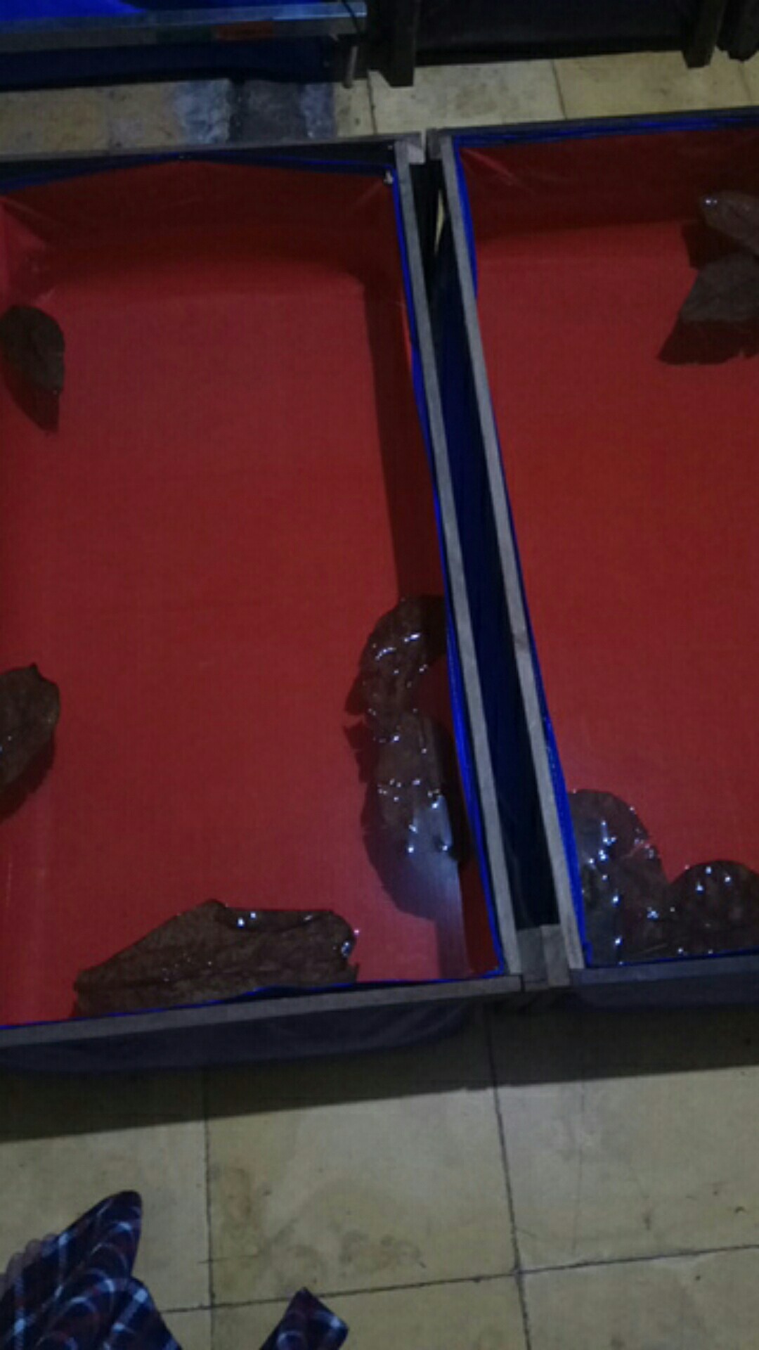 Terpal Kolam Ikan Lele Type A5 Korea P 100 Cm X L 50 Cm X T 25 Cm