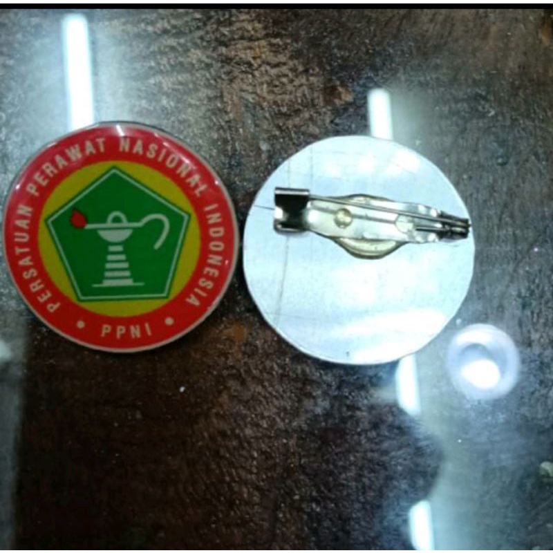 Pin PPNI