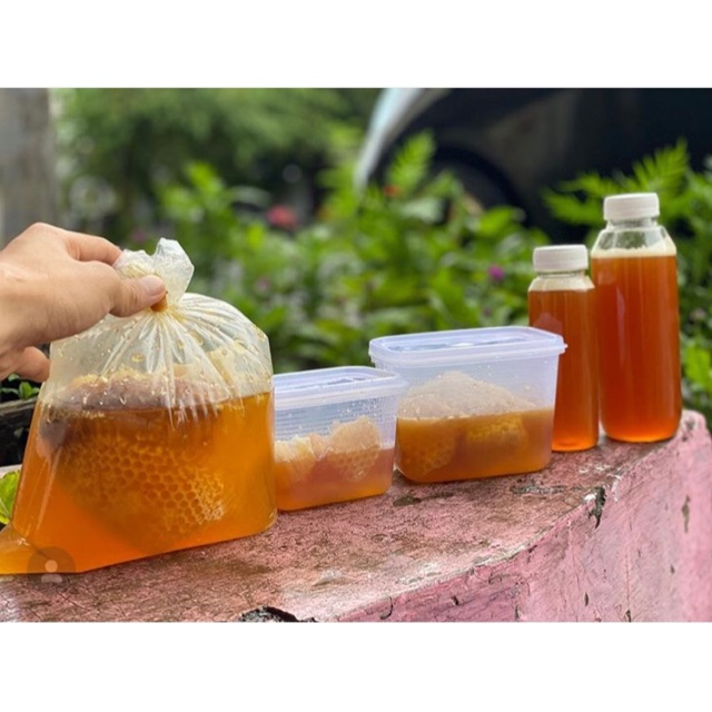 

Madu Asli Bukan Ternak