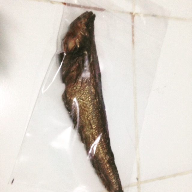 

Ikan lais salai