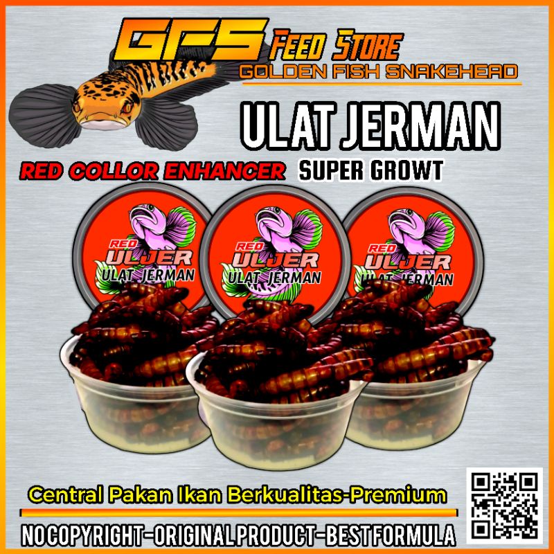 Uljer Red/Ulat Jerman Red Pigment Kemasn Cup