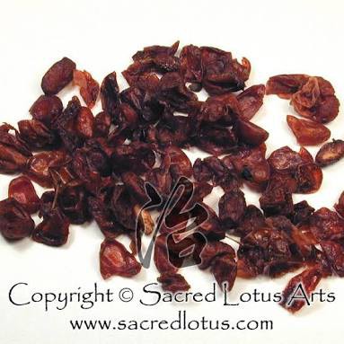 

10 G 50 GR 100 GRAM SHAN ZHU YU SHAN ZAO ROU 山茱萸 山枣肉 CORNUS FRUIT DOGWOOD FRUIT