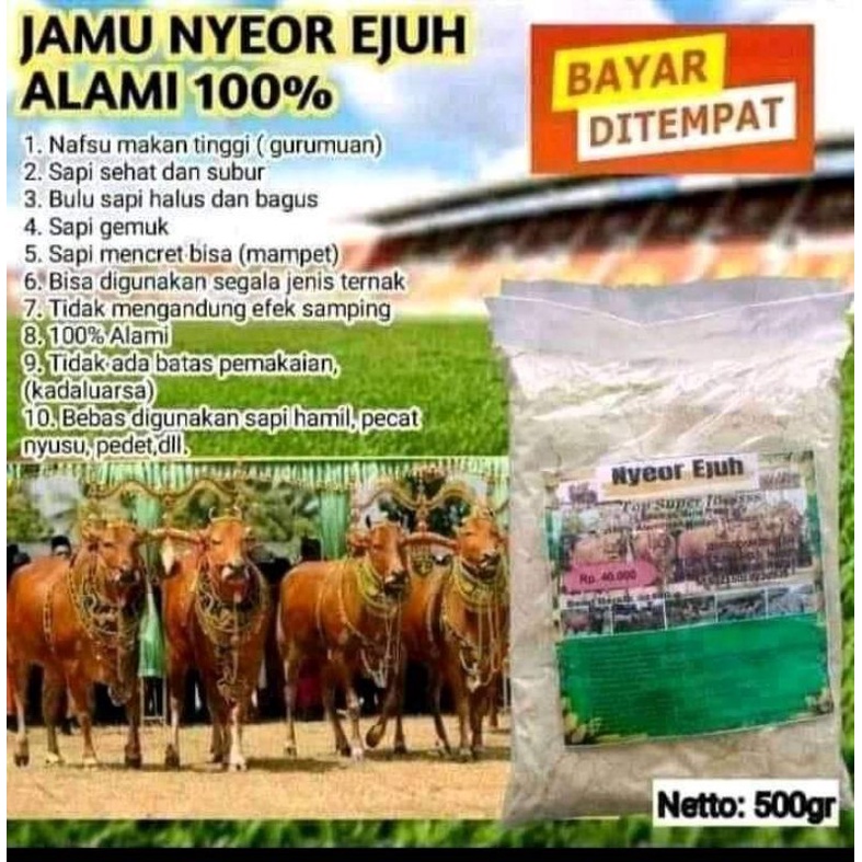 

NYEOR EJUH (ISI 4 bungkus)