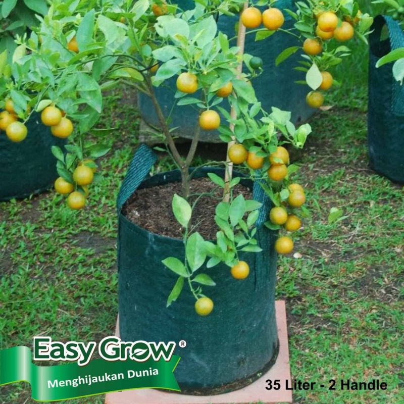 Planter Bag 35L Easy Grow 37 x 33 cm Tebal Pot Tanaman Polibag 35 Liter Kantong Karung