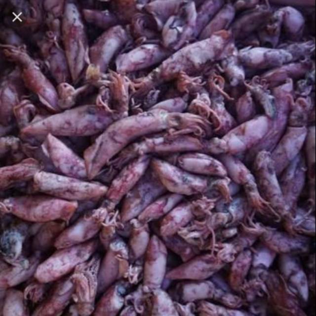 

ikan asin cumi -cumi sotong