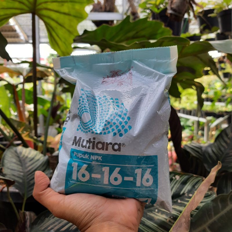 Pupuk NPK Mutiara 1kg