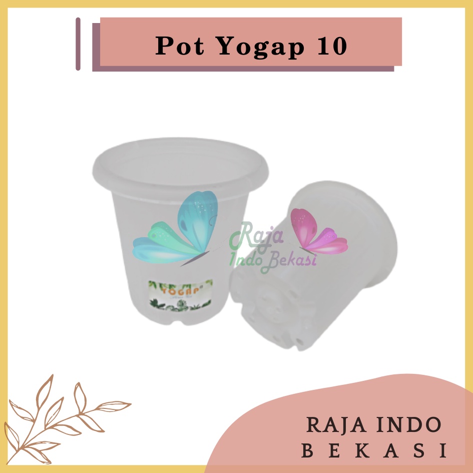 Pot Yogap 10 Transparan Bening Clear Tinggi Tebal Berkualitas Grosir Pot Yogap 10 13 15 17 18 Murah