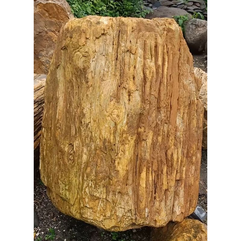 Batu Fosil Kayu Natural ( batu hias taman )
