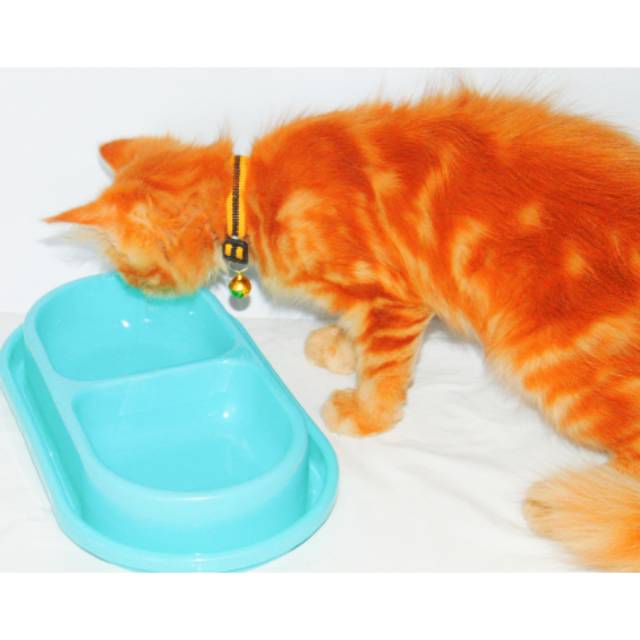 TEMPAT MAKAN DAN MINUM KUCING ANTI SEMUT