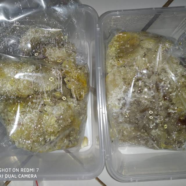 

Sarang madu hutan
