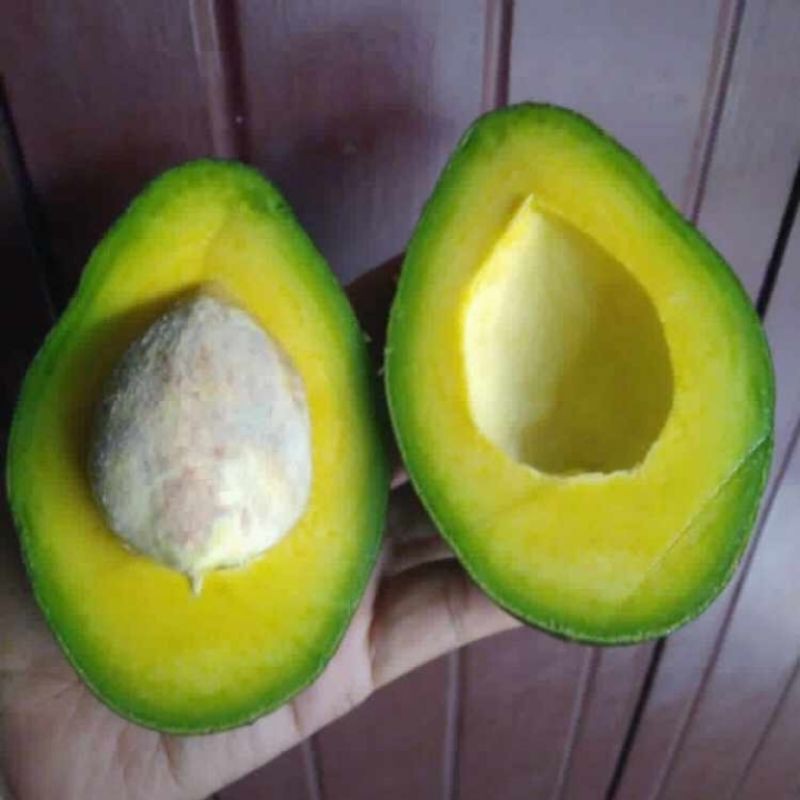 

Alpukat Mentega Pulen