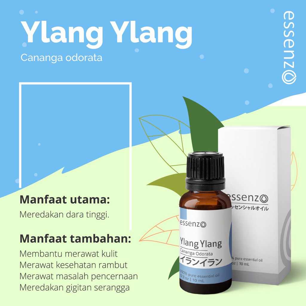 Jual Minyak Kenanga Ylang Ylang Essenzo Essential Oil Atasi Darah Tinggi 100 Original Minyak Atsiri 10ml Indonesia Shopee Indonesia