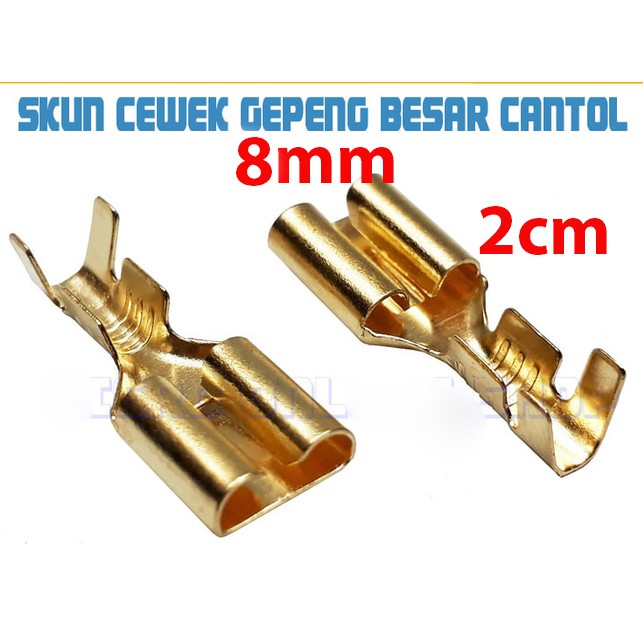 Skun Gepeng 8mm Cewek Female Kecil / Soket / Skun Motor / Skun kabel